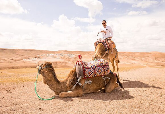 Dinner with 20-Minute Camel Ride in Agafay Desert